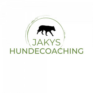 Logo Transparent